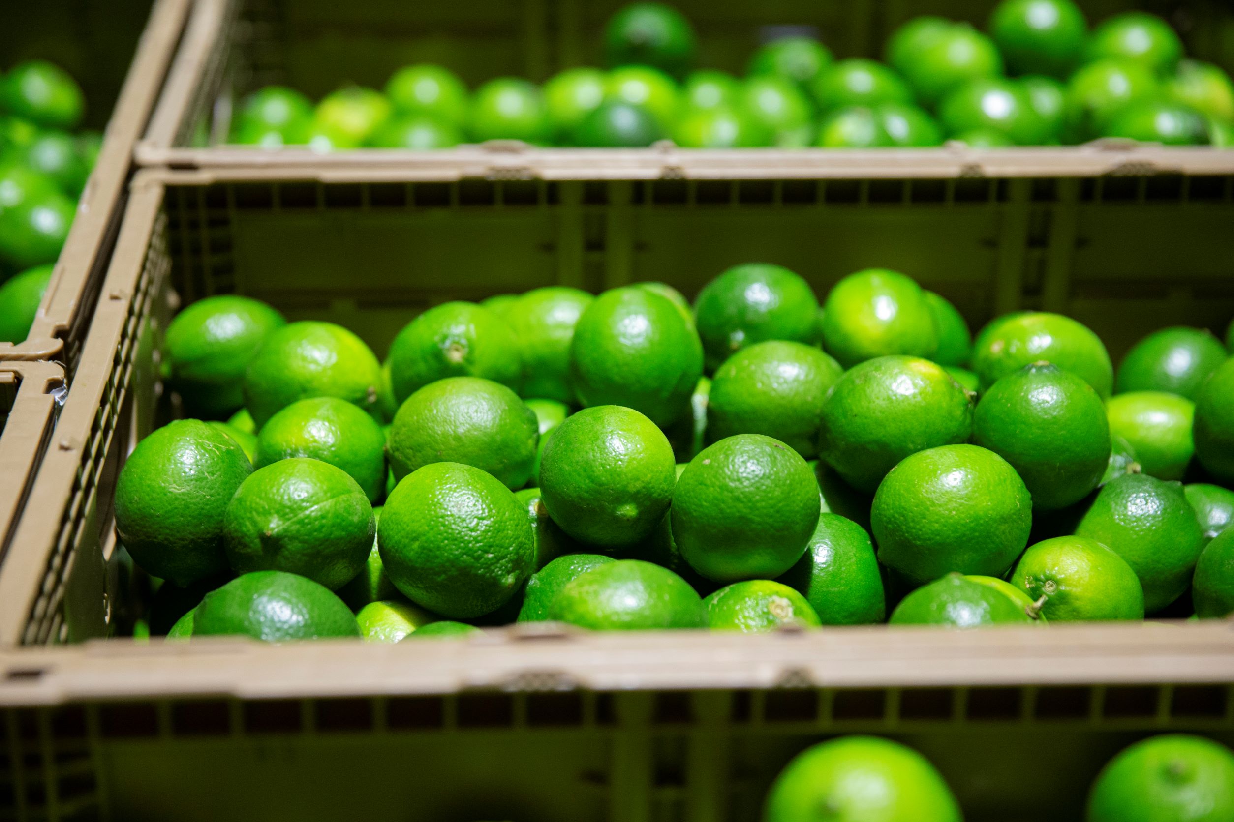 Keeping fruit and vegetables fresh while reducing food waste are just some of the major benefits provided by Lineage Fresh services from Lineage Logistics.