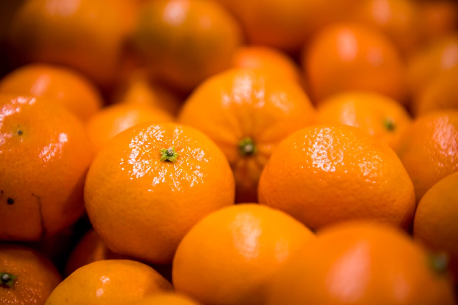 The journey of an orange is made possible by Lineage Fresh facilities and cold chain services like drayage, customs brokerage, and temperature controlled transportation.