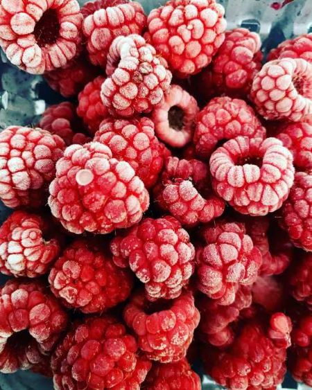 A closeup of frozen raspberries shows ice crystals on the surface of the fruits