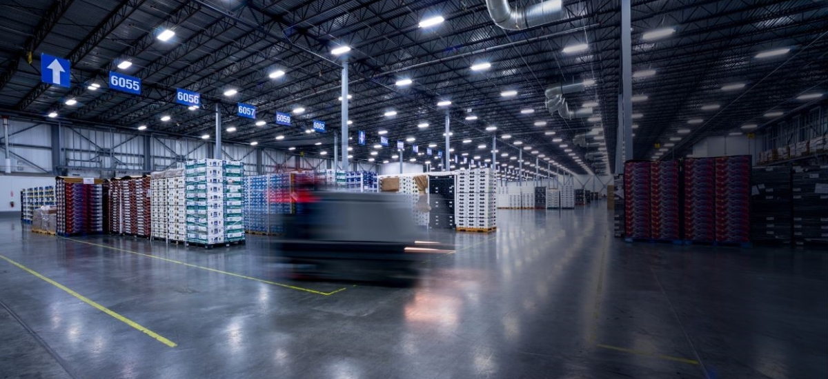 By integrating warehouse management systems (WMS), machine learning capabilities and automated warehouse designs, Sybil helps pave the way for a smarter, more self-aware warehouse.