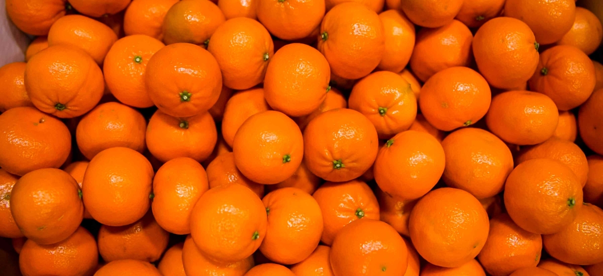 Mandarins citrus fruit